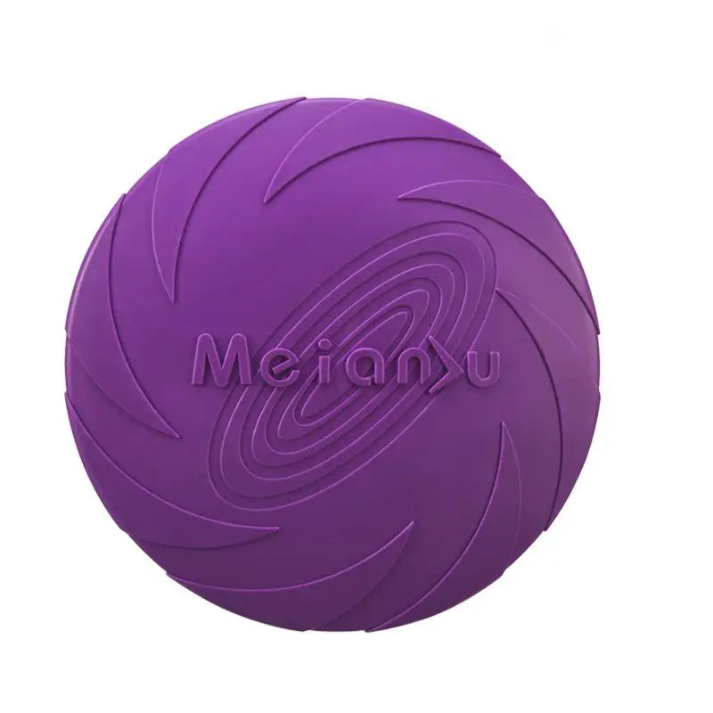 frisbee chien