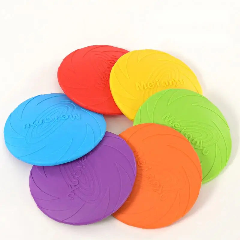 frisbee chien