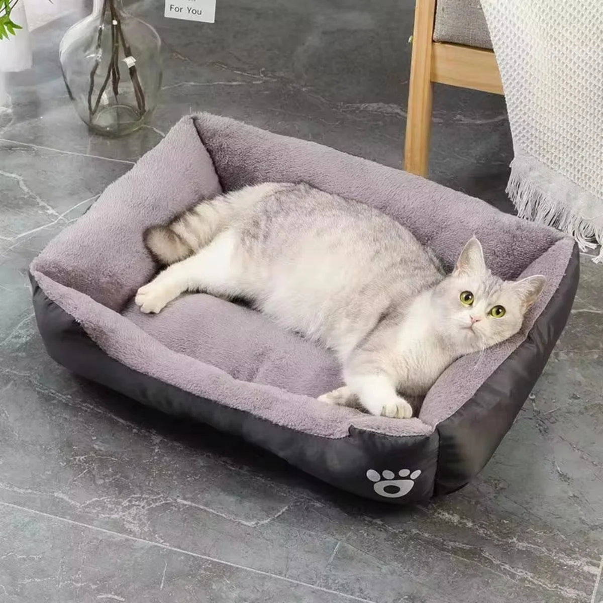 Matelas Confort pour Chien et Chat