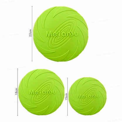 frisbee chien